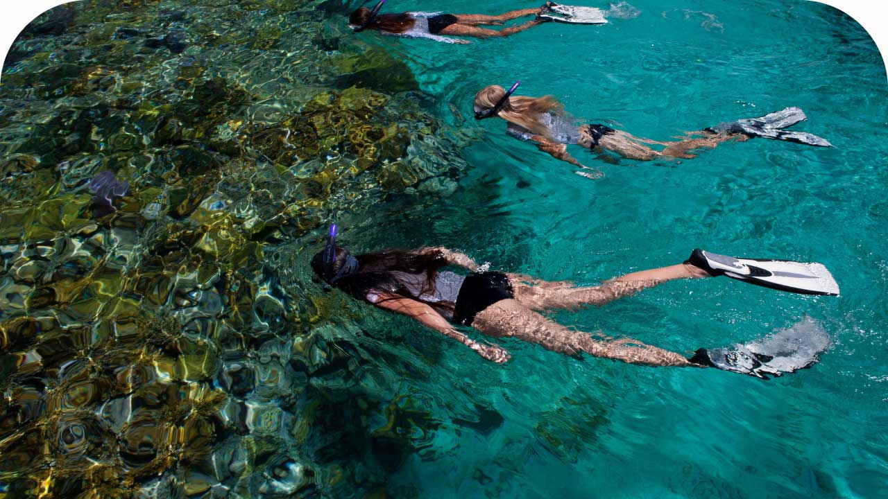 People snorkeling