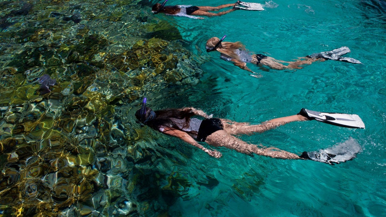 Snorkelers swimming near coral reef.